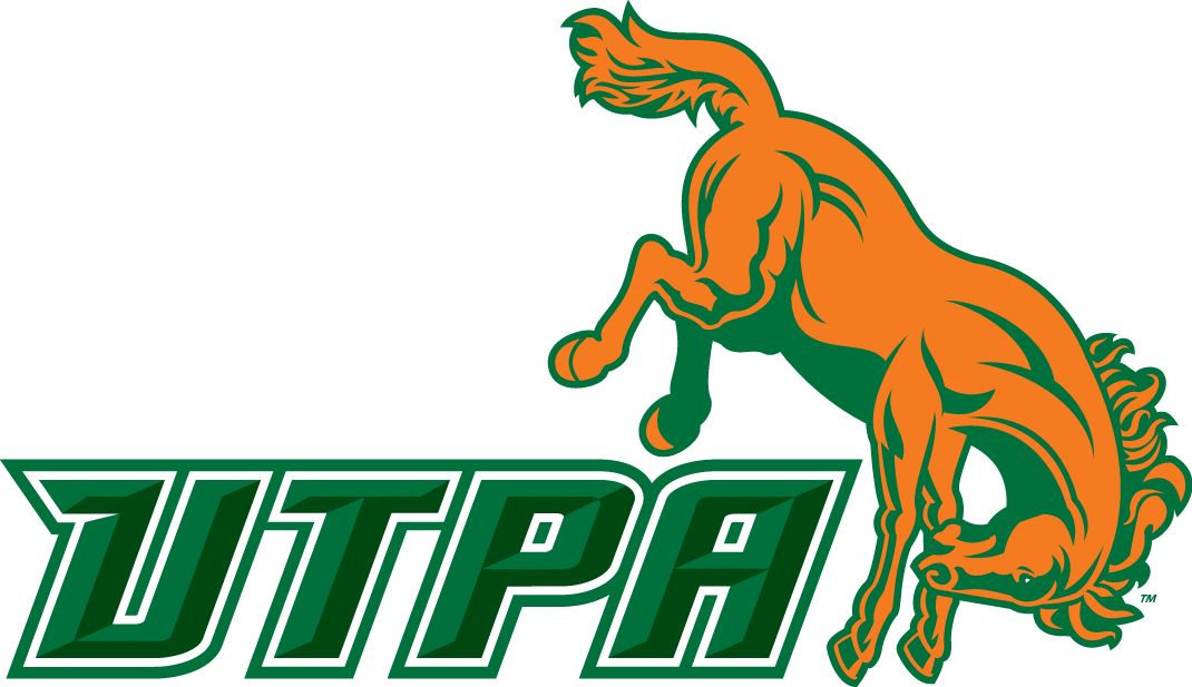 Texas-Pan American Broncs 2010-2014 Alternate Logo diy fabric transfers